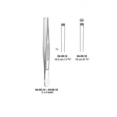  3 x 4 Teeth Tissue Forceps